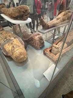 ミイラ化：遺体保存の技術