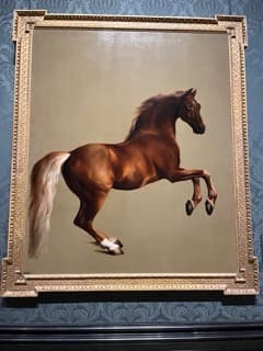 ホイッスルジャケット