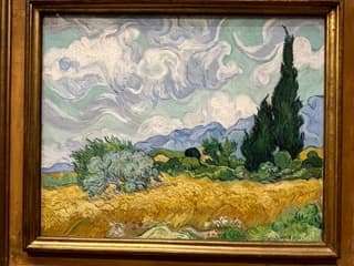 糸杉のある麦畑