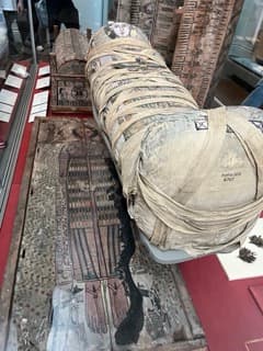 クレオパトラ:若い女性のミイラ