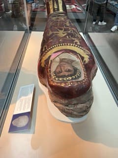 アルテミドロスのミイラ(彩色スタッコケース)