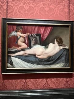 ヴィーナスの化粧(ロキービー・ヴィーナス)